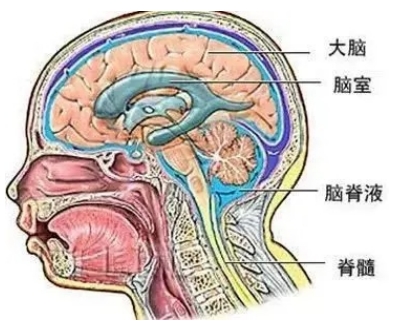 微信截图_20240403171622