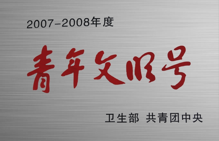 青年文明号（2007年-2008年）